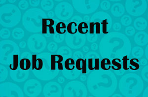 Local Man With a Van Enquiries